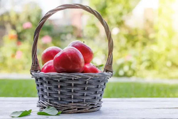 stock image Basket with fresh red apples on the garden table with copy space