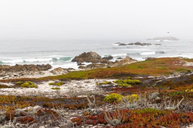 Büyüleyici bir kıyı manzarası görkemli okyanusu ve Kaliforniya 'daki manzaralı 17 mil boyunca yükselen köknar ağaçlarını barındırıyor.