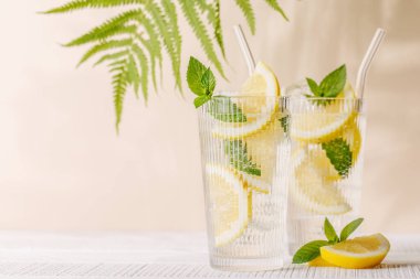 Limon ve naneli taze yaz limonatası, ferahlatıcı ve hayat dolu içecek sıcak günler için mükemmel.