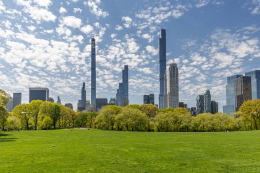 Manhattan gökdelenleri ve Central Park çayırları