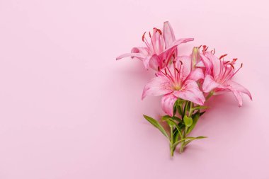 Pembe zambak çiçekleri çarpıcı pembe bir arkaplanda sergileniyor, canlı bir zarafet ve cesur bir güzellik sergiliyor. Fotokopi alanı olan düz uzanma, bir şablon veya model için mükemmel