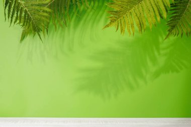 Boş tablo ve yaprak gölgeli duvar şablonu, ürün sunumu ve maketi için mükemmel