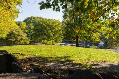 New York 'taki Manhattan Central Park Çayırı