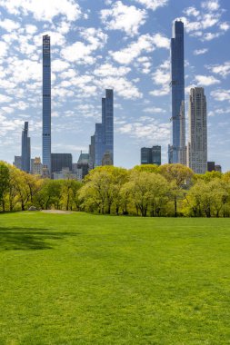Manhattan gökdelenleri ve Central Park çayırları