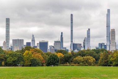 Manhattan gökdelenleri ve Central Park çayırları
