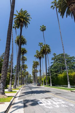 Beverly Hills caddesi, uzun palmiye ağaçları. Los Angeles, Kaliforniya