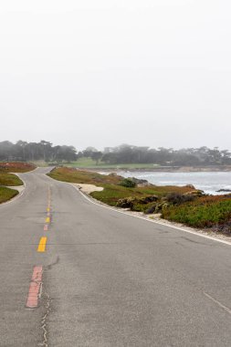 Büyüleyici bir kıyı manzarası görkemli okyanusu ve Kaliforniya 'daki manzaralı 17 mil boyunca yükselen köknar ağaçlarını barındırıyor.