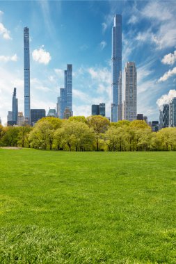 Manhattan gökdelenleri ve Central Park yeşil çayırları görkemli güneşli gökyüzü