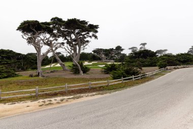 Büyüleyici bir kıyı manzarası görkemli okyanusu ve Kaliforniya 'daki manzaralı 17 mil boyunca yükselen köknar ağaçlarını barındırıyor.