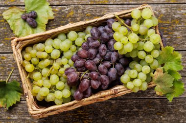 Yeşilin, kırmızının ve morun tonlarında çeşitli üzümlerle dolu bir hasır sepet. Üzümler olgun ve sulu görünüyor. Atıştırmak ve şarap yapmak için mükemmel bir lezzet sunuyor.