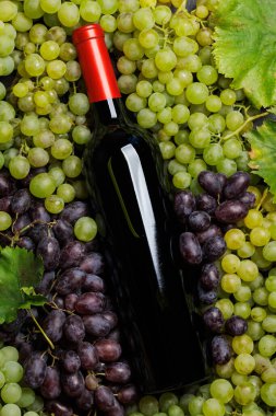 Taze üzümlerden oluşan bir yatağın üzerinde zarif bir şekilde duran bir şarap şişesi, yeşil ve mor üzümlerden oluşan zengin bir çeşitlilik sergiliyor.