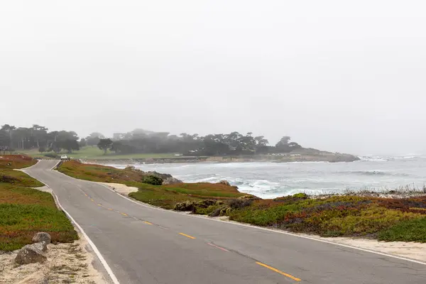 stock image A captivating coastal landscape featuring the majestic ocean and towering fir trees along the scenic 17-Mile Drive in California