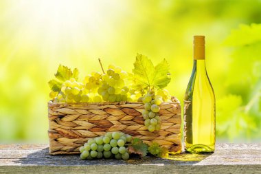 Güneşli bir üzüm bağının önünde bir şişe beyaz şarap ve bir sepet üzüm. Üzüm bağları, sıcak güneş ışığı altında parlayan üzümlerle uzaklara kadar uzanıyor..