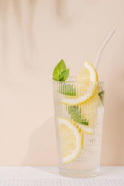 Limon ve naneli taze yaz limonatası, ferahlatıcı ve hayat dolu içecek sıcak günler için mükemmel.
