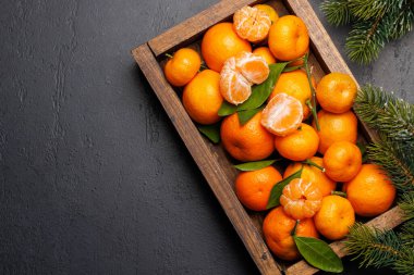 Kutlama turunçgilleri: Tatil temalı bir kutuda mandalinalar, fotokopi alanı olan düz yataklar