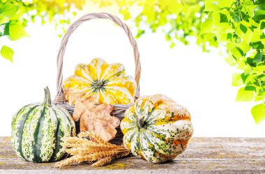 Autumn-themed food arrangement with pumpkins and autumn leaves on a table, creating a cozy seasonal atmosphere clipart