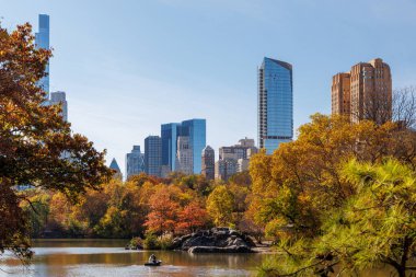 Güneşli bir sonbahar gününde New York 'taki Central Park' ta canlı bir sonbahar yeşilliği ve açık mavi gökyüzü parkın doğal güzelliğini gözler önüne seriyor.