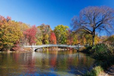 Güneşli bir sonbahar gününde New York 'taki Central Park' ta canlı bir sonbahar yeşilliği ve açık mavi gökyüzü parkın doğal güzelliğini gözler önüne seriyor.