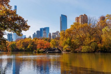 Güneşli bir sonbahar gününde New York 'taki Central Park' ta canlı bir sonbahar yeşilliği ve açık mavi gökyüzü parkın doğal güzelliğini gözler önüne seriyor.