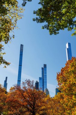 Güneşli bir sonbahar gününde New York 'taki Central Park' ta canlı bir sonbahar yeşilliği ve açık mavi gökyüzü parkın doğal güzelliğini gözler önüne seriyor.