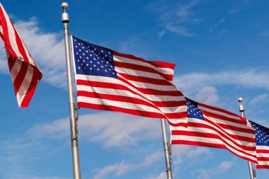 Sıralar halinde dalgalanan Amerikan bayrakları açık mavi gökyüzüne, canlı renklerle vatanseverlik gururu sergiliyor