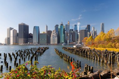 Sonbahar boyunca New York Manhattan gökdelenleri altın ve turuncu yapraklarla süslenmiş.