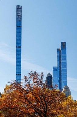 Güneşli bir sonbahar gününde New York 'taki Central Park' ta canlı bir sonbahar yeşilliği ve açık mavi gökyüzü parkın doğal güzelliğini gözler önüne seriyor.