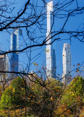 Güneşli bir sonbahar gününde New York 'taki Central Park' ta canlı bir sonbahar yeşilliği ve açık mavi gökyüzü parkın doğal güzelliğini gözler önüne seriyor.