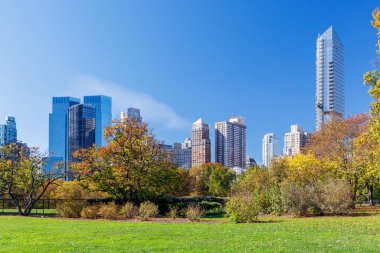 Güneşli bir sonbahar gününde New York 'taki Central Park' ta canlı bir sonbahar yeşilliği ve açık mavi gökyüzü parkın doğal güzelliğini gözler önüne seriyor.