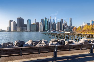 Sonbahar boyunca New York Manhattan gökdelenleri altın ve turuncu yapraklarla süslenmiş.