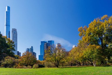 Güneşli bir sonbahar gününde New York 'taki Central Park' ta canlı bir sonbahar yeşilliği ve açık mavi gökyüzü parkın doğal güzelliğini gözler önüne seriyor.