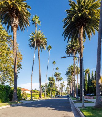 Iconic Beverly Hills caddesi parlak güneşli bir gökyüzünün altında yükselen palmiye ağaçlarıyla dolu, lüks ve Güney Kaliforniya 'nın cazibesi yayılıyor.