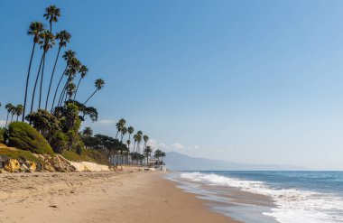 Kaliforniya sahilinin nefes kesici manzarası. Altın kumlu plajlar, uçsuz bucaksız mavi okyanus ve güneşli gökyüzünün altında yavaşça sallanan uzun, ikonik palmiye ağaçları.