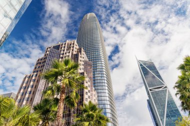 San Francisco 'nun çarpıcı gökdelenleri gökyüzüne karşı yükseliyor, ön plandaki yemyeşil palmiye yapraklarıyla çerçevelenmiş, kentsel mimariyle doğal güzelliği harmanlıyor.