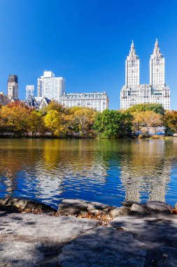 Güneşli bir sonbahar gününde New York 'taki Central Park' ta canlı bir sonbahar yeşilliği ve açık mavi gökyüzü parkın doğal güzelliğini gözler önüne seriyor.