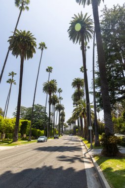 Beverly Hills caddesi, uzun palmiye ağaçları. Los Angeles, Kaliforniya