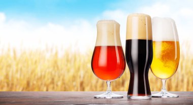 Farklı tipte biralarla dolu çeşitli bira bardakları. Arka planda güzel bir yaz manzarası olan ahşap bir masaya yerleştirilmiş.