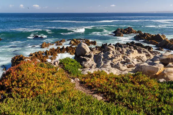Büyüleyici bir kıyı manzarası görkemli okyanusu ve Kaliforniya 'daki manzaralı 17 mil boyunca yükselen köknar ağaçlarını barındırıyor.