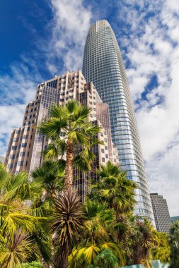 San Francisco 'nun çarpıcı gökdelenleri gökyüzüne karşı yükseliyor, ön plandaki yemyeşil palmiye yapraklarıyla çerçevelenmiş, kentsel mimariyle doğal güzelliği harmanlıyor.