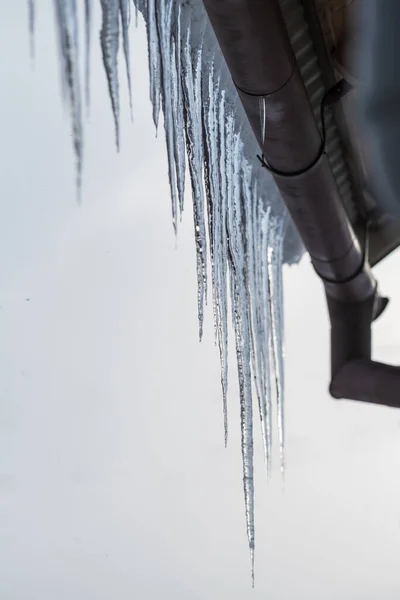 Long Dangerous Icicles Hanging Roof House Winter Season Frost Weather — Stock Photo, Image