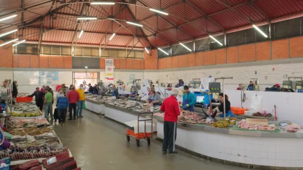 Olhao Portugal April 2022 Fisk Och Skaldjursdelen Olhaos Kommunala Marknad — Stockvideo