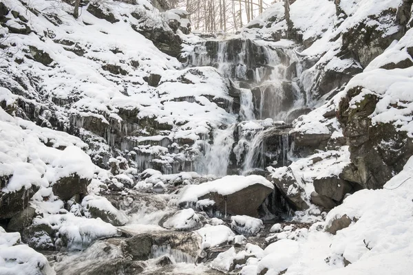 Scénický Pohled Krásný Vodopád Shypit Karpatech Zimní Krajina Oblíbené Turistické — Stock fotografie