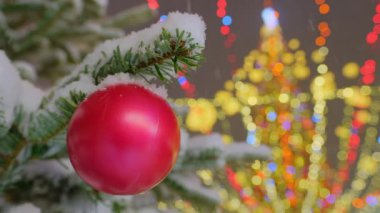 Traditional xmas red ball on fir tree branch close-up with Christmas tree gold festive confetti and illumination on snowy winter evening in Europe. Christmas tree with colorful outdoor decorations. 