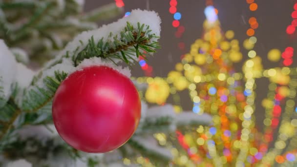 Traditional Xmas Red Ball Fir Tree Branch Close Christmas Tree — Wideo stockowe