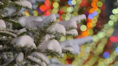 Arka planda parıldayan Noel ışıklarıyla çam ağacının dalına kar yağıyor. Geleneksel bir Noel pazarında kar yağışı. Noel ve Yeni Yıl sezonu konsepti 