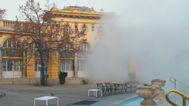 Szechenyi Hamamları Kışın Budapeşte Macaristan Avrupa Tarihi Macar Termik Banyosu — Stok video