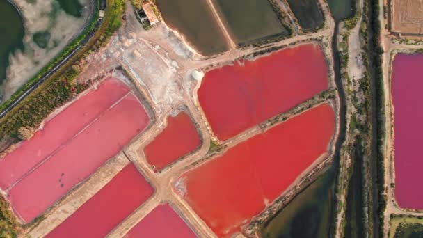 Top View Colorful Salt Ponds Olhao Town Southern Portugal Saline — Stock video