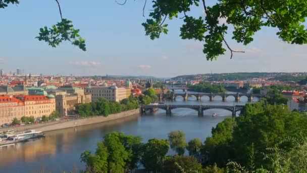 Prague Cityscape Summer Prague Old Town Charles Bridge Vltava River — Stok video