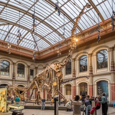 Berlin, Germany - December 13, 2022: A skeleton of tyrannosaurus at Natural history museum Museum fur Naturkunde, MfN, Naturkundemuseum or Humboldt-Museum, Berlin, Germany.