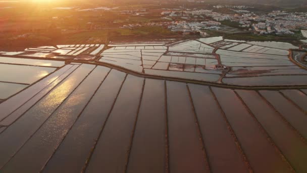 Saline Marshes Ria Formosa Lagoon Tavira Sunset Португалія Виробництво Солі — стокове відео